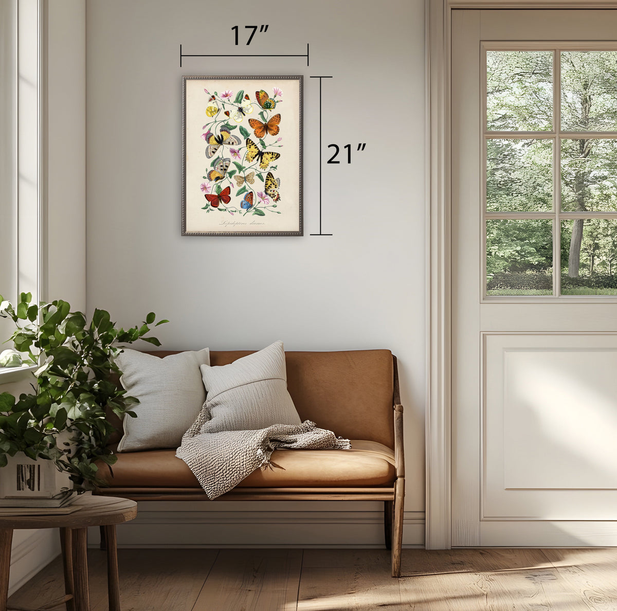 The framed butterfly print on a pale wall with its 17 by 21 inch dimensions marked