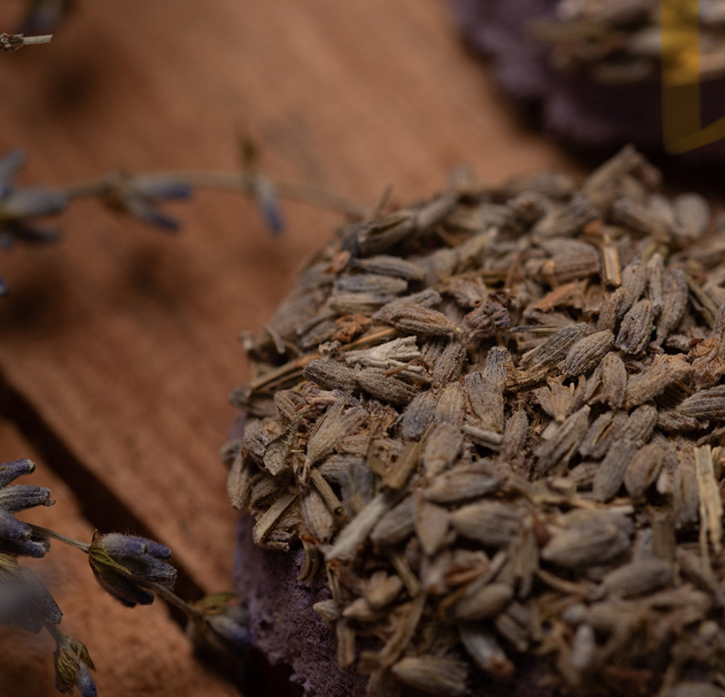 Smoke Cleanse Charcoal Disks — Herb-Infused Smudging Disks