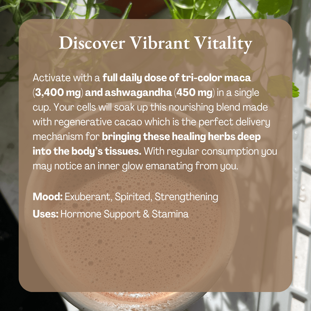 Ora Cacao Vibrant Vitality ceremonial cacao blend shown in a warm, styled tabletop arrangement.