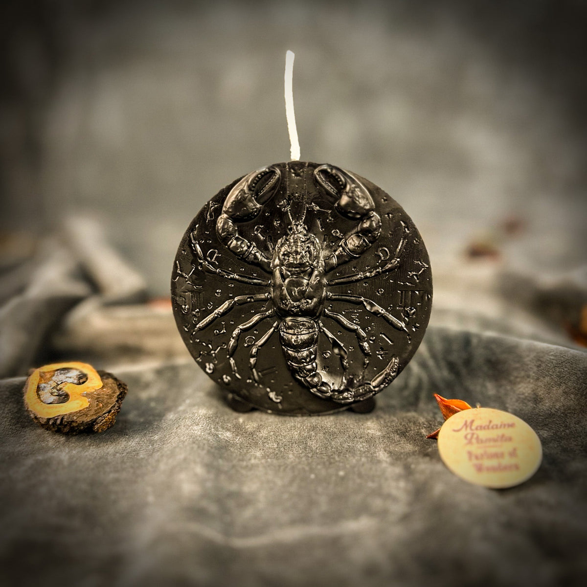 Black Scorpio medallion candle, the scorpion showing as highlights on dark wax.