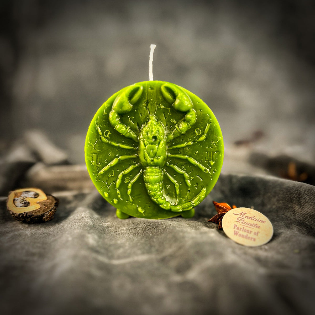 Olive-green Scorpio medallion candle, claws and segmented tail crisply molded.