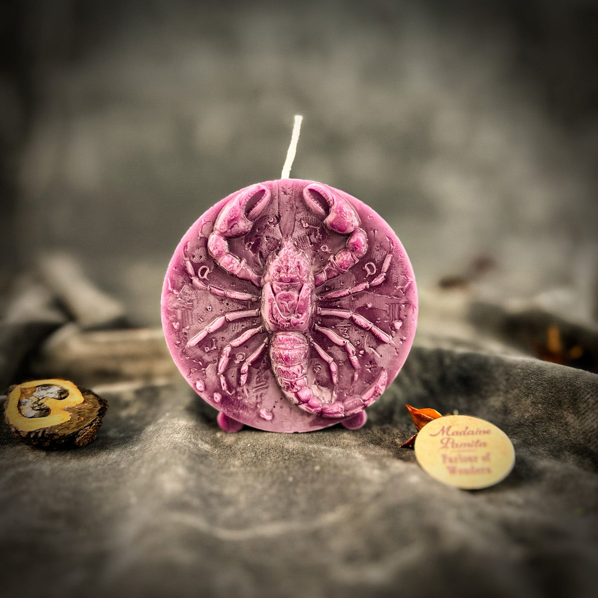 Mauve-pink Scorpio medallion candle, side light picking out the tail segments.