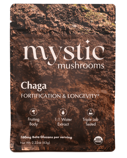 Ora Cacao Chaga mushroom extract pouch shown on a plain neutral background.