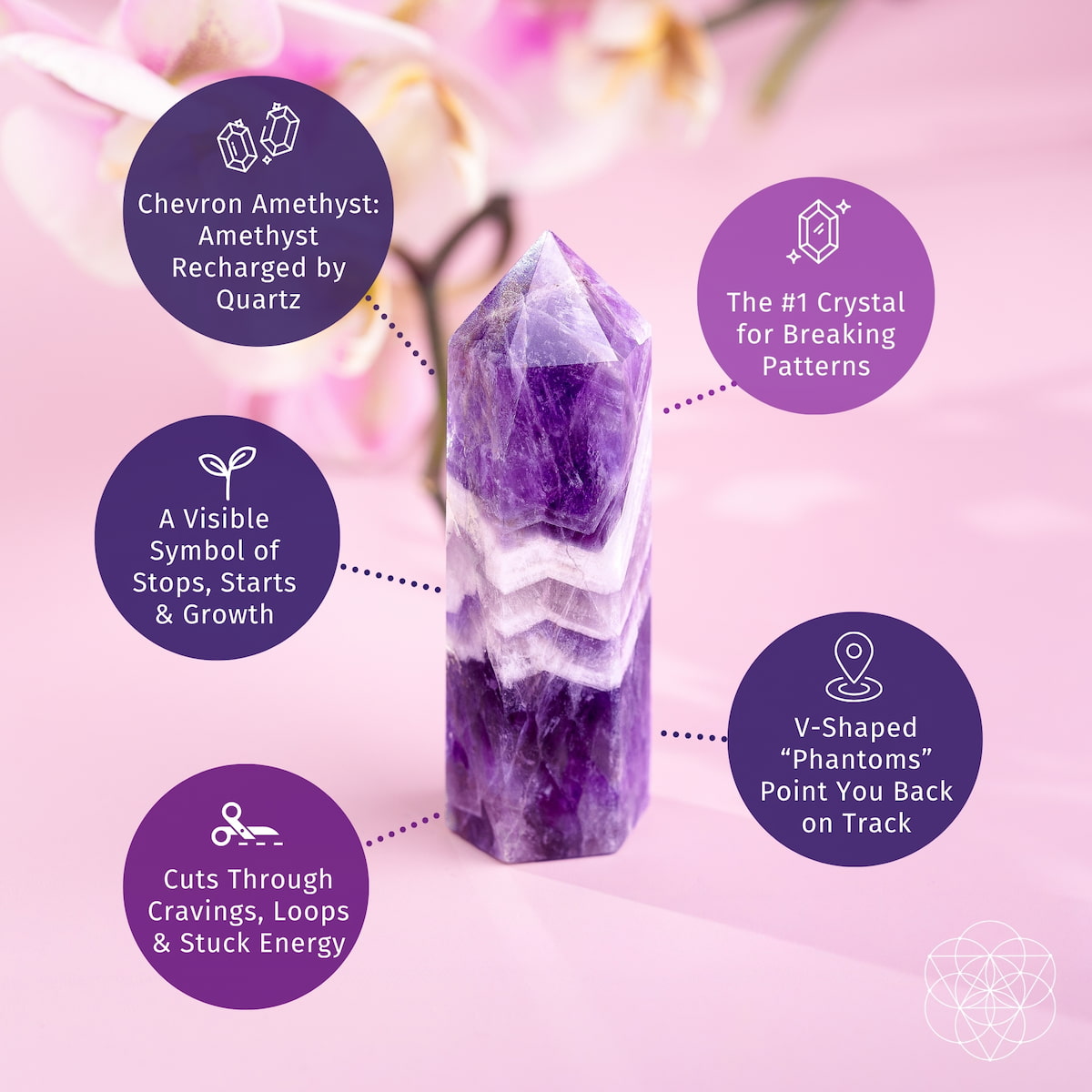 Chevron Amethyst crystal point with purple and white V-shaped bands — view 6