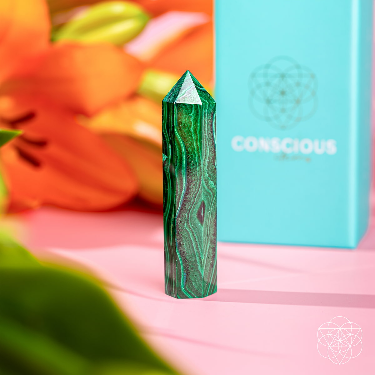 Polished Malachite crystal point with deep green swirling bands — view 4