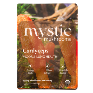 Ora Cacao Cordyceps mushroom extract pouch shown on a plain neutral background.