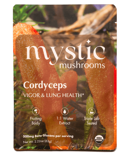 Ora Cacao Cordyceps mushroom extract pouch shown on a plain neutral background.