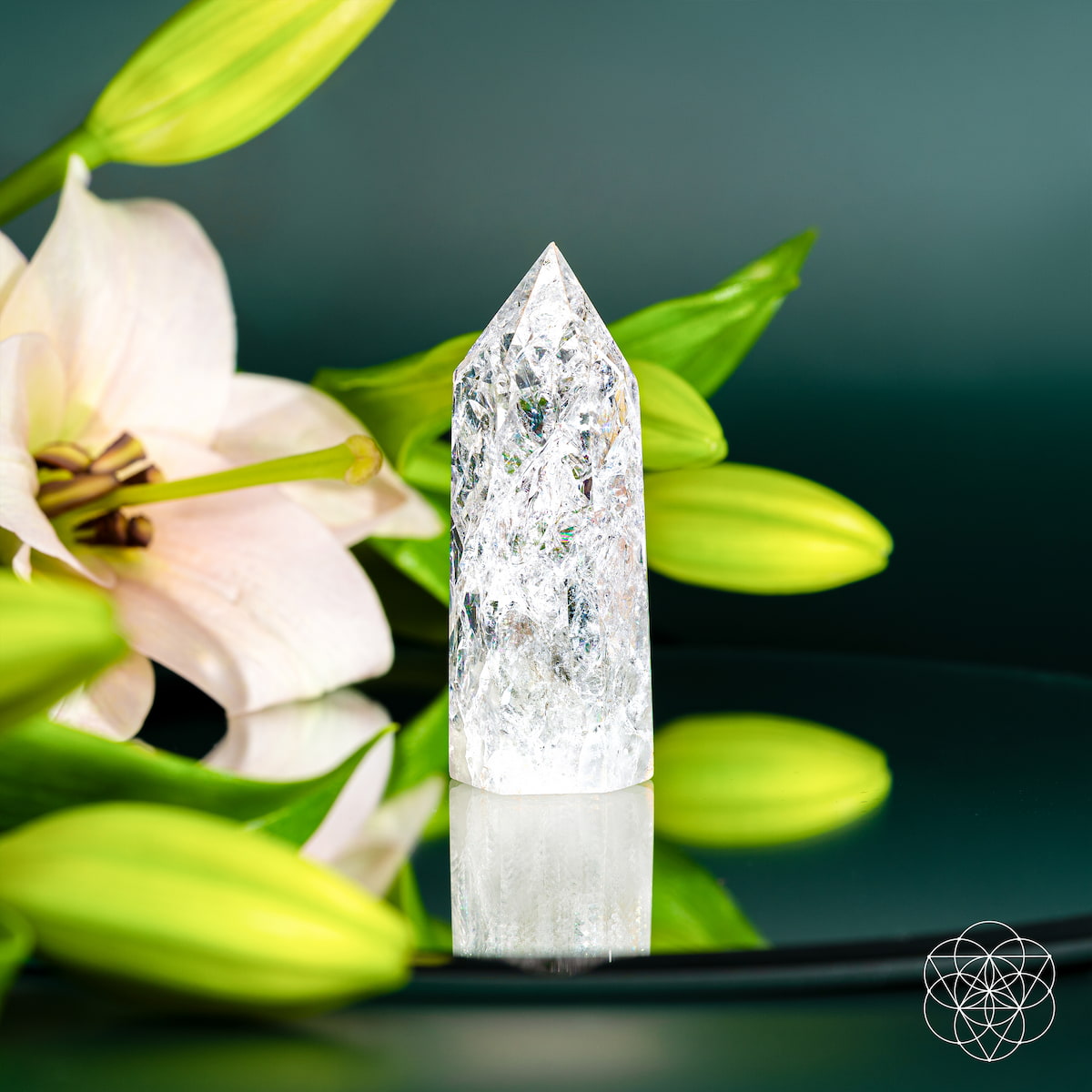 Ice Quartz crystal point with fractured internal prisms catching the light — view 5