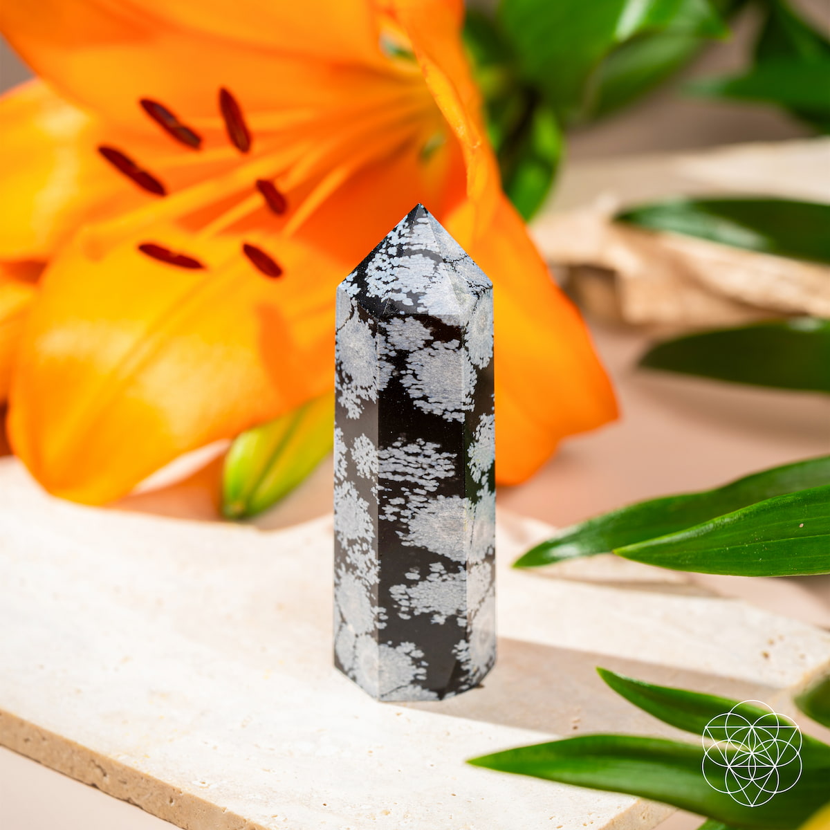 Snowflake Obsidian crystal point with white snowflake patterns on black stone — view 2