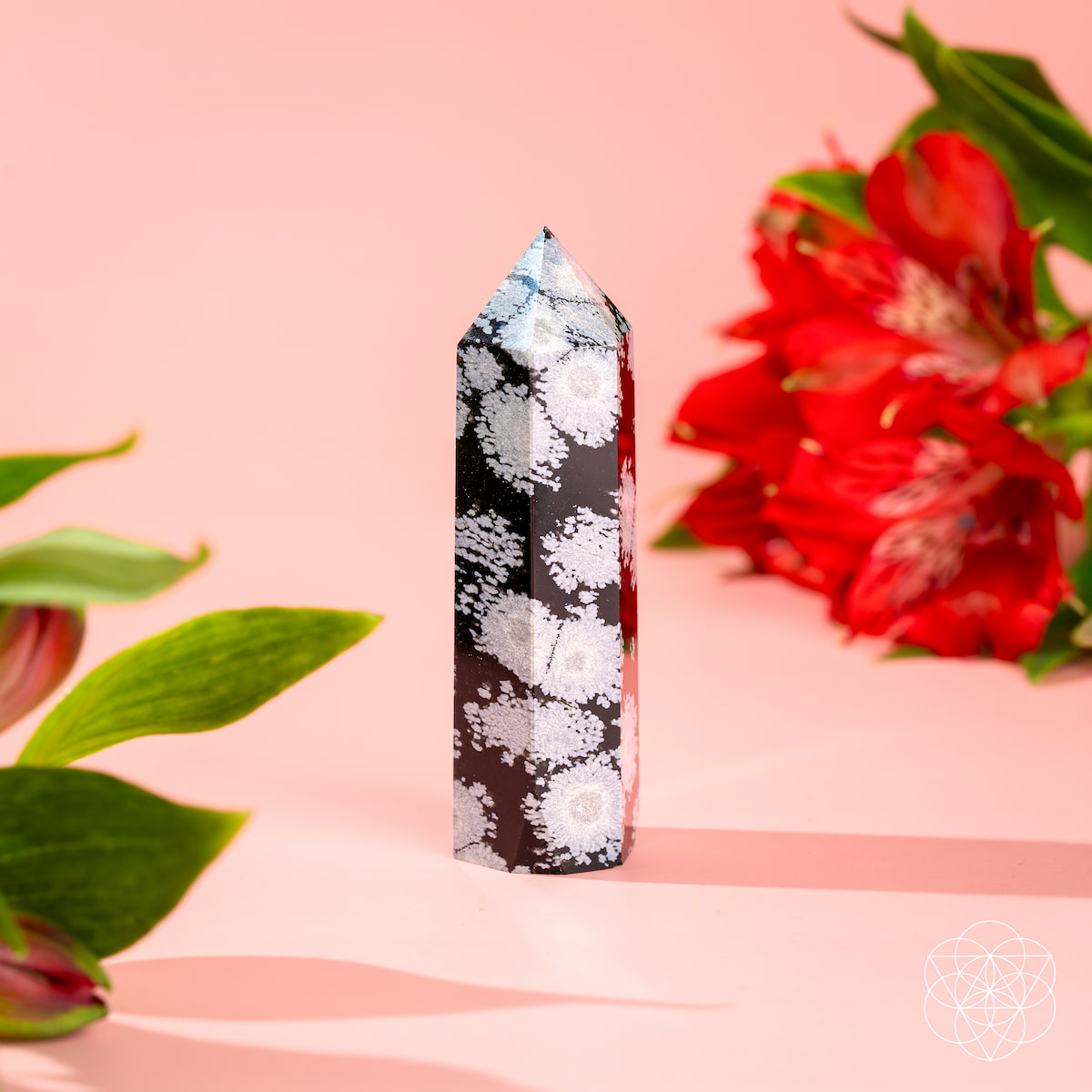 Snowflake Obsidian crystal point with white snowflake patterns on black stone — view 5
