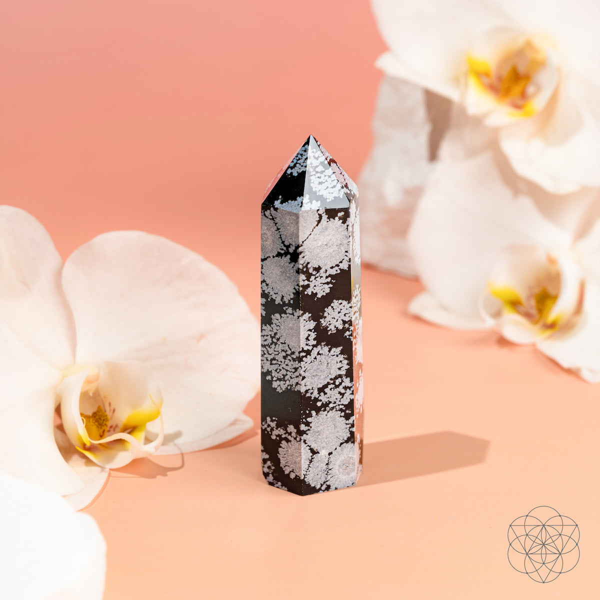 Snowflake Obsidian crystal point with white snowflake patterns on black stone — view 3
