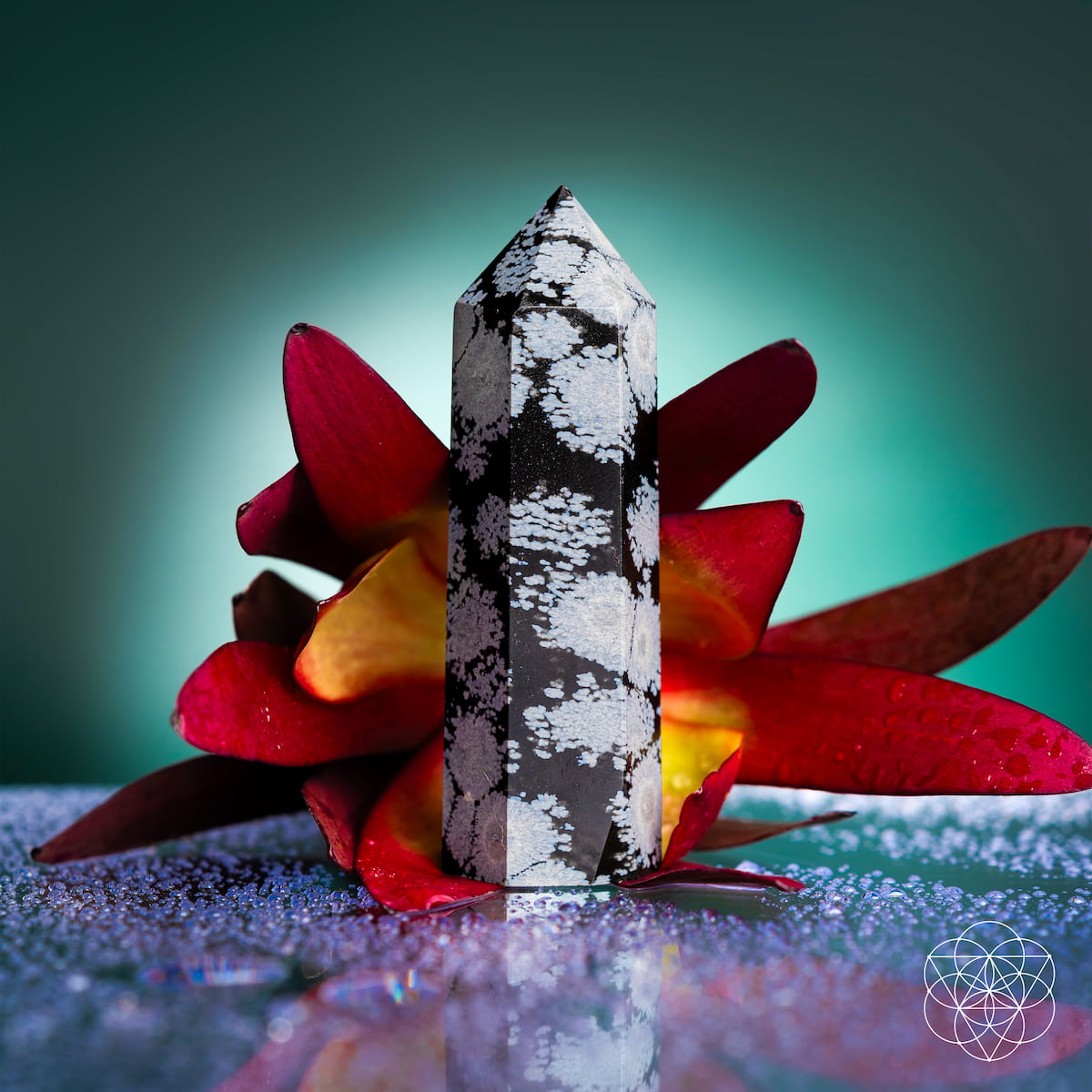 Snowflake Obsidian crystal point with white snowflake patterns on black stone