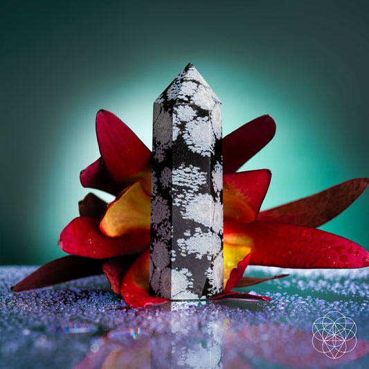 Snowflake Obsidian crystal point with white snowflake patterns on black stone