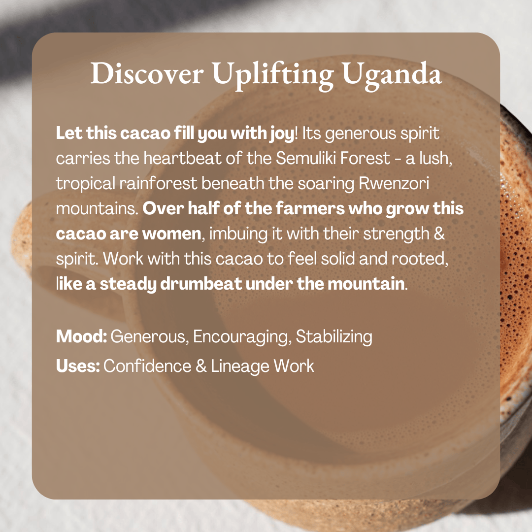 Ora Cacao Uplifting Uganda pure ceremonial cacao displayed in a calm, styled interior setting.
