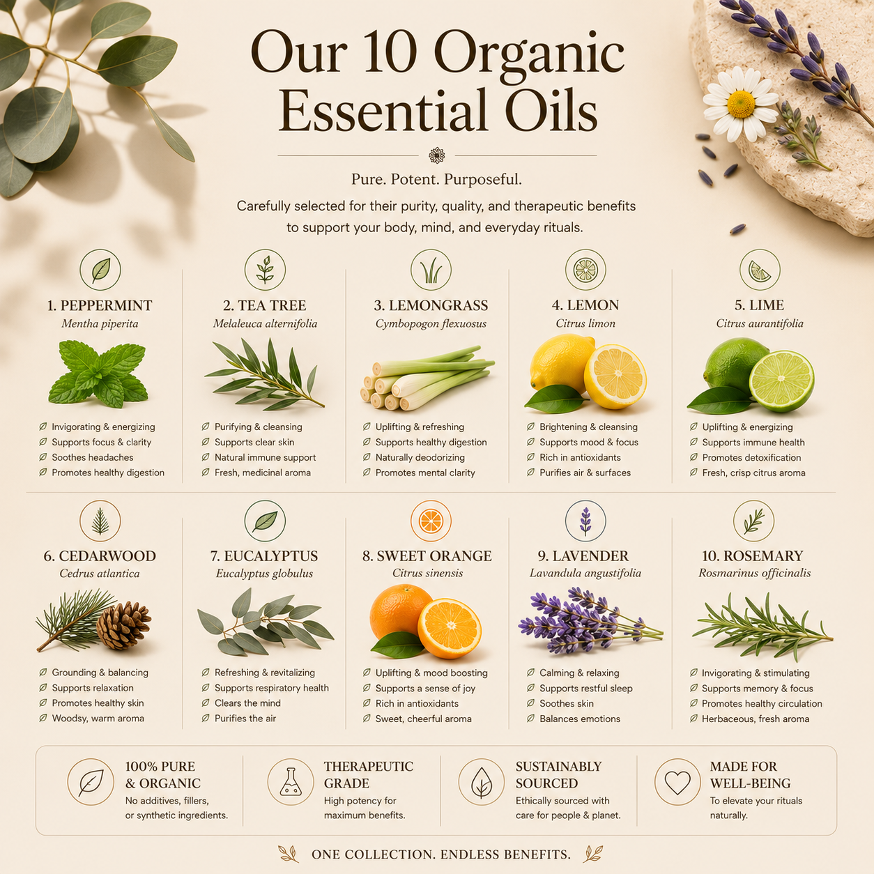 Bottle of pure certified organic lemon essential oil — view 4