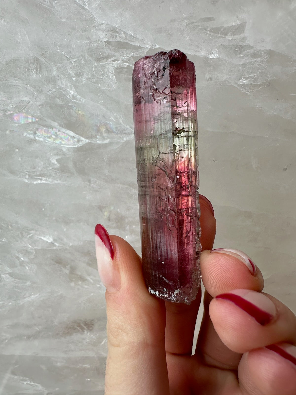 Watermelon tourmaline crystal showing a pink core within a green rim