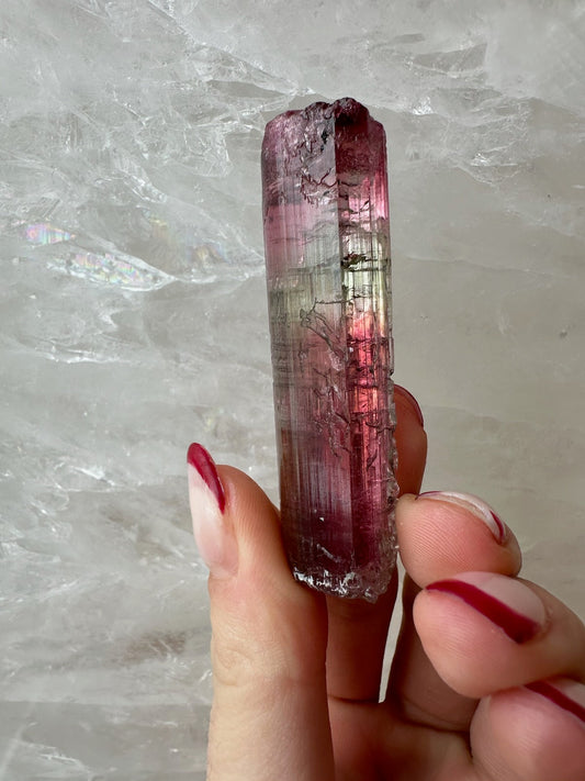 Watermelon tourmaline crystal showing a pink core within a green rim