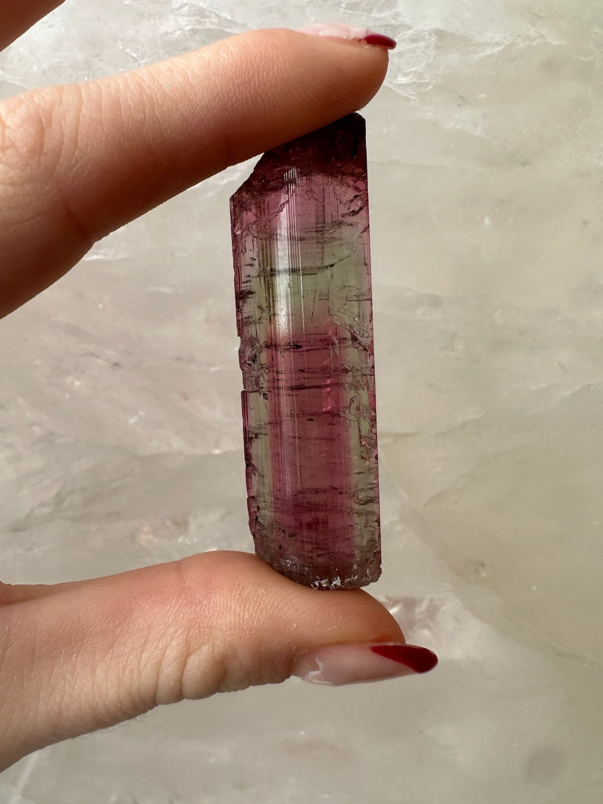 Watermelon tourmaline photographed against a dark background
