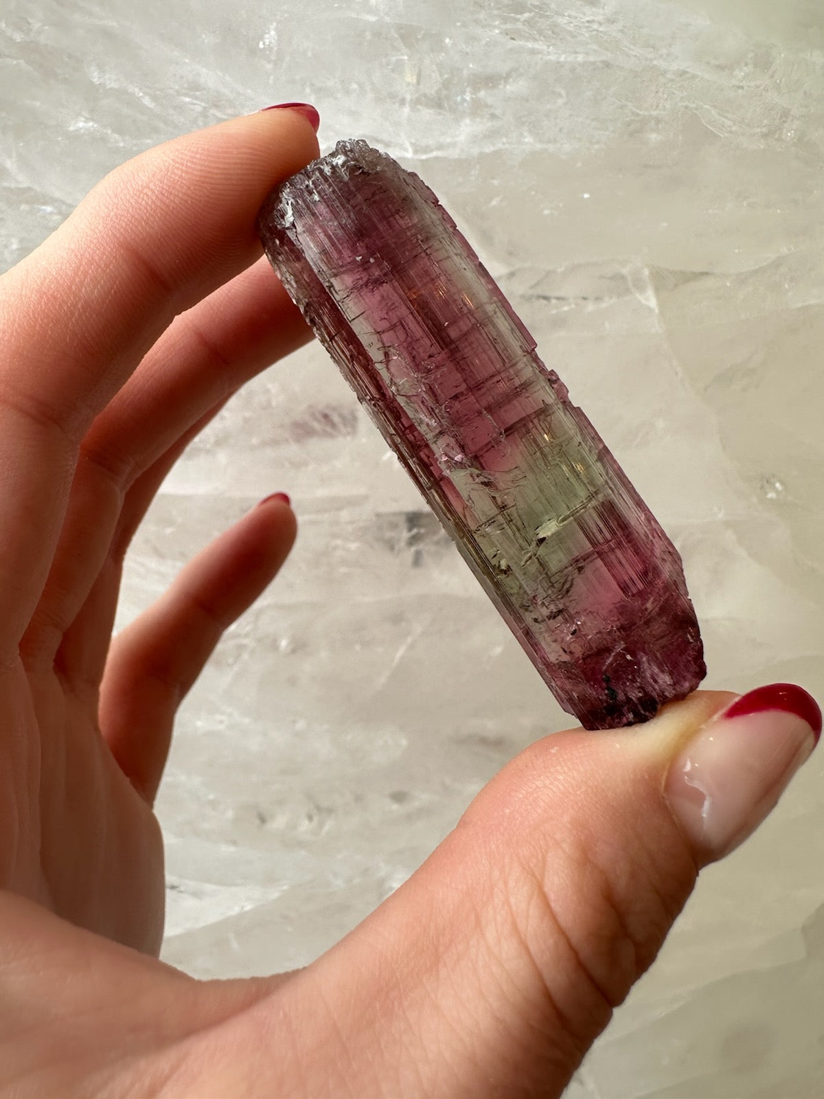 Watermelon tourmaline held up to the light