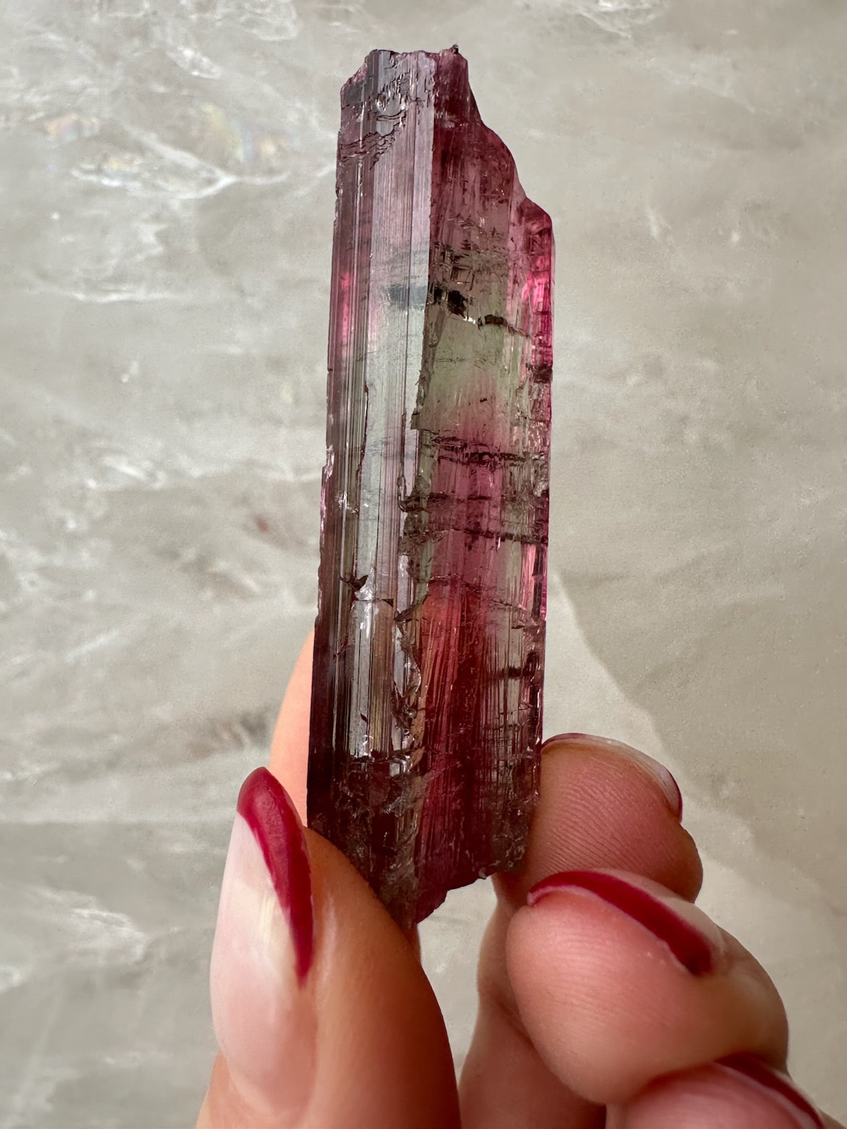 Watermelon tourmaline shown for scale