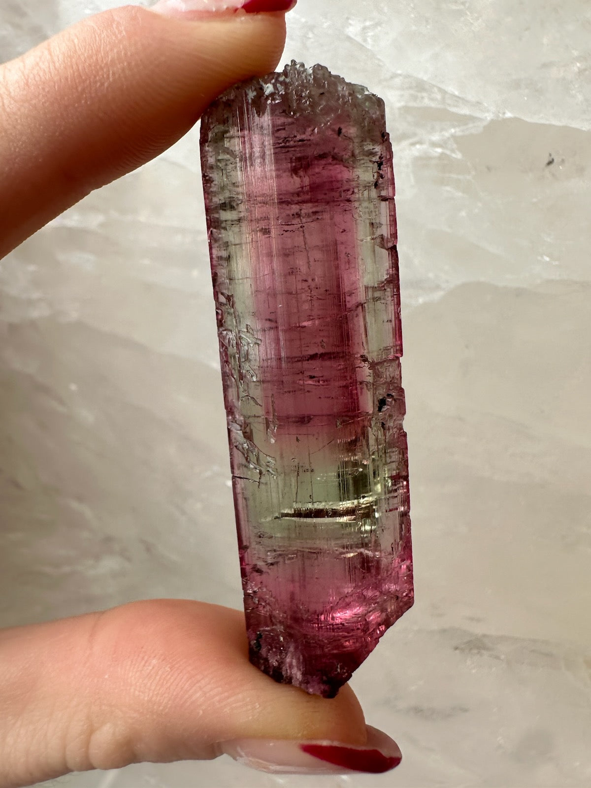 Watermelon tourmaline crystal held between two fingers, pink body with a pale green band