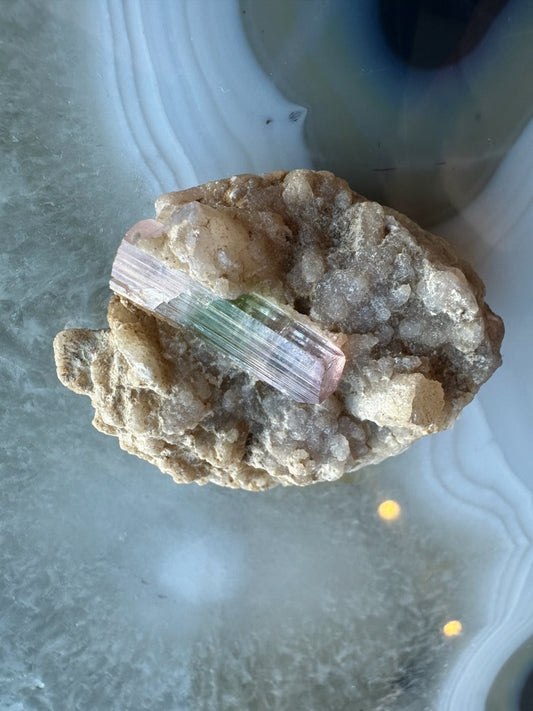 Watermelon tourmaline crystal resting on a white albite matrix