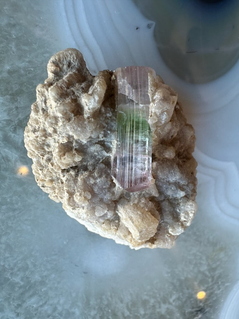 Watermelon tourmaline on matrix photographed from the front
