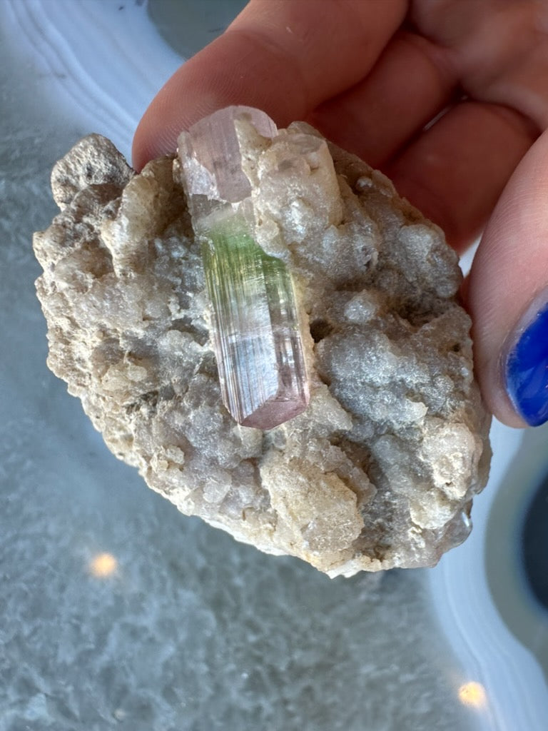 Watermelon tourmaline on albite shown against a dark background