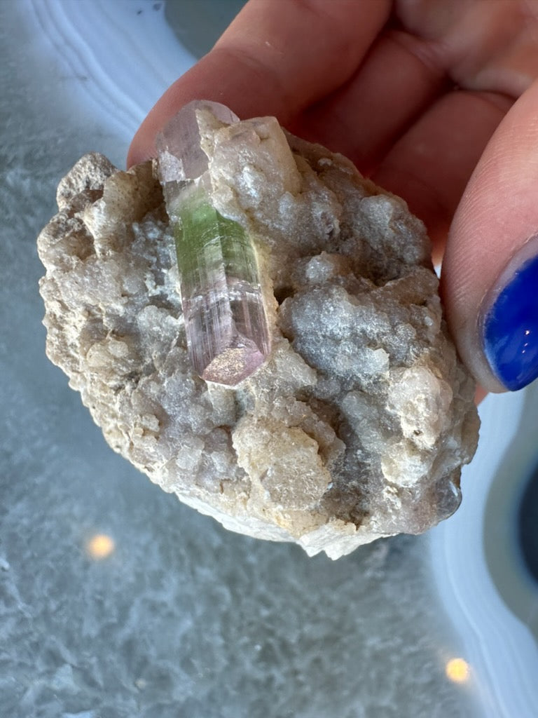 Watermelon tourmaline on matrix seen from above