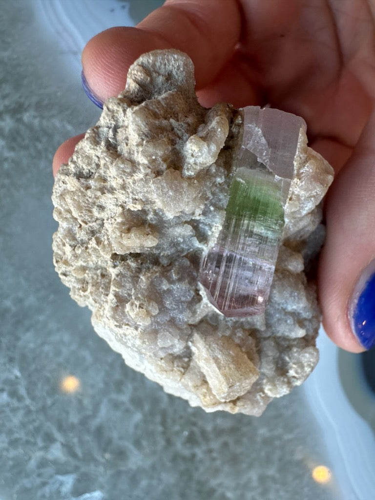 Watermelon tourmaline on matrix displayed for scale