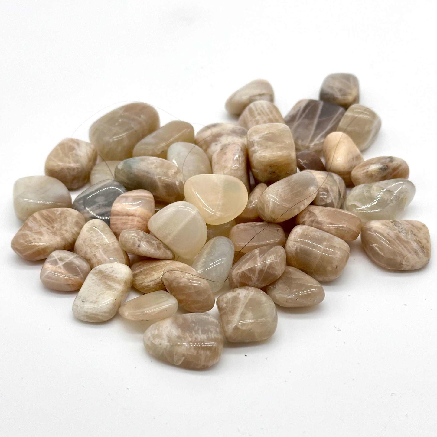 Tumbled multi-color Moonstone showing an adularescent blue and peach flash