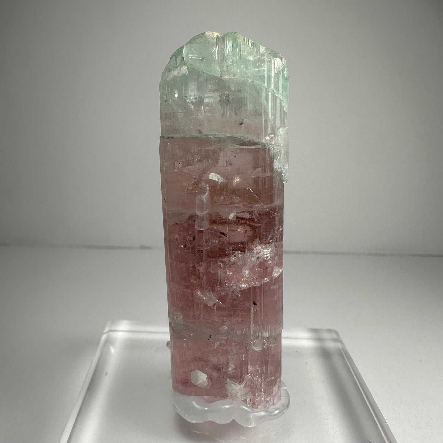 Watermelon tourmaline crystal with pink and green colour zoning