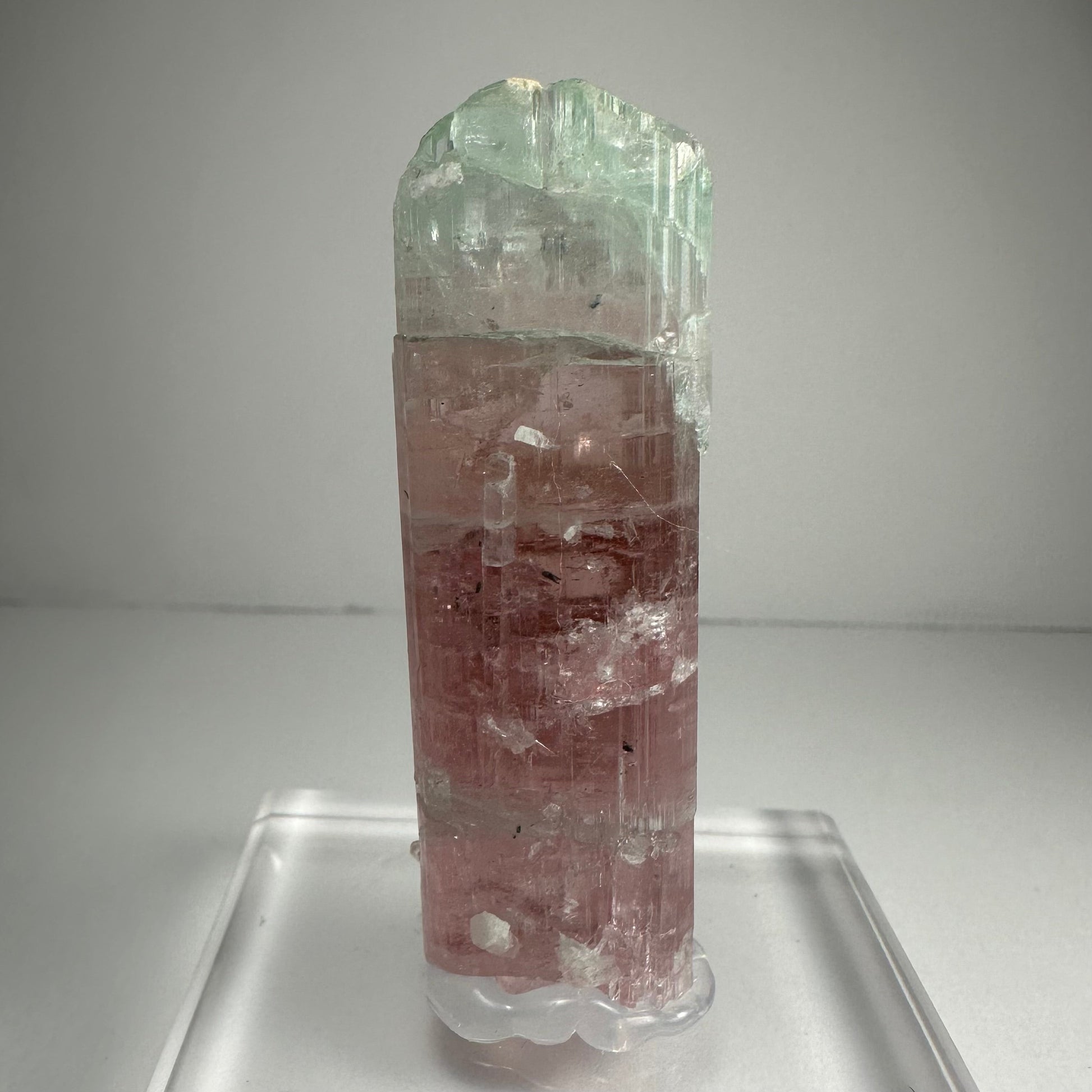 Watermelon tourmaline crystal with pink and green colour zoning