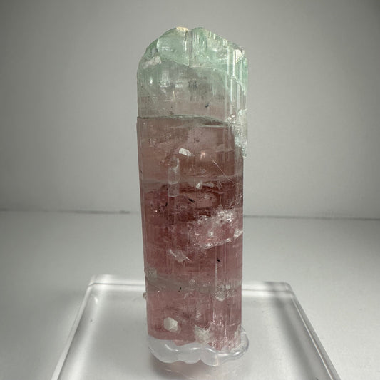 Watermelon tourmaline crystal with pink and green colour zoning
