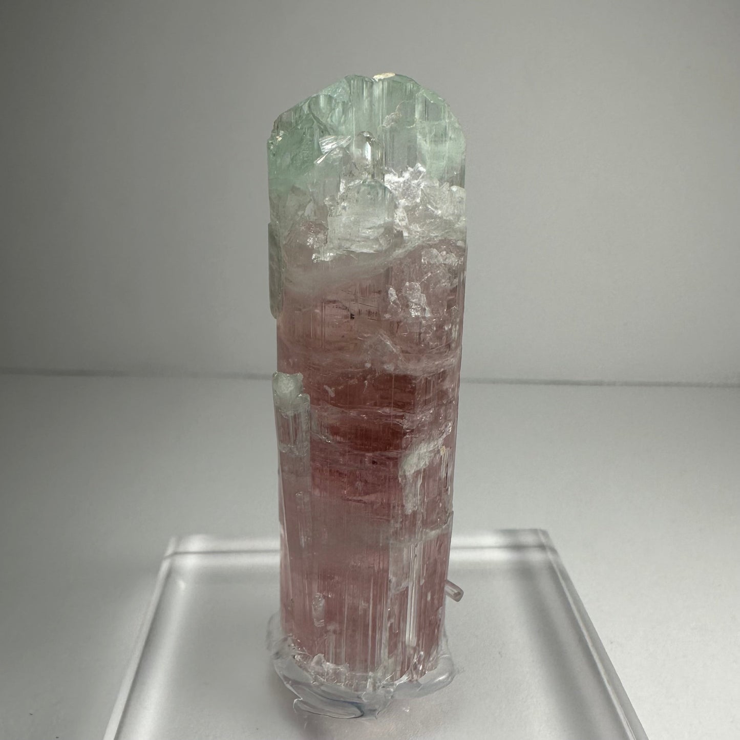 Termination face of the watermelon tourmaline showing concentric colour