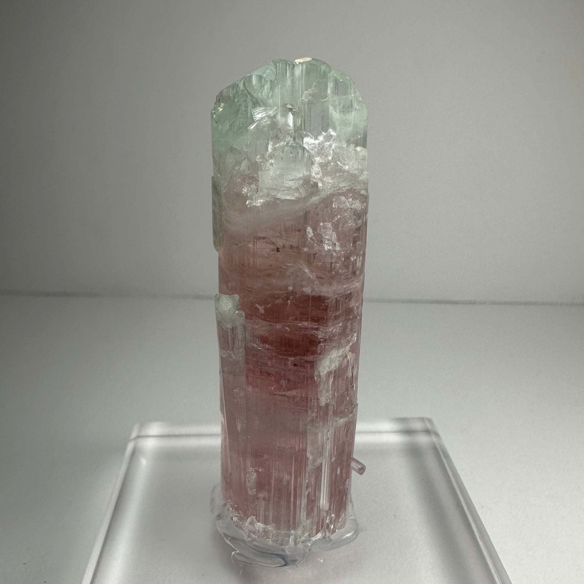 Termination face of the watermelon tourmaline showing concentric colour