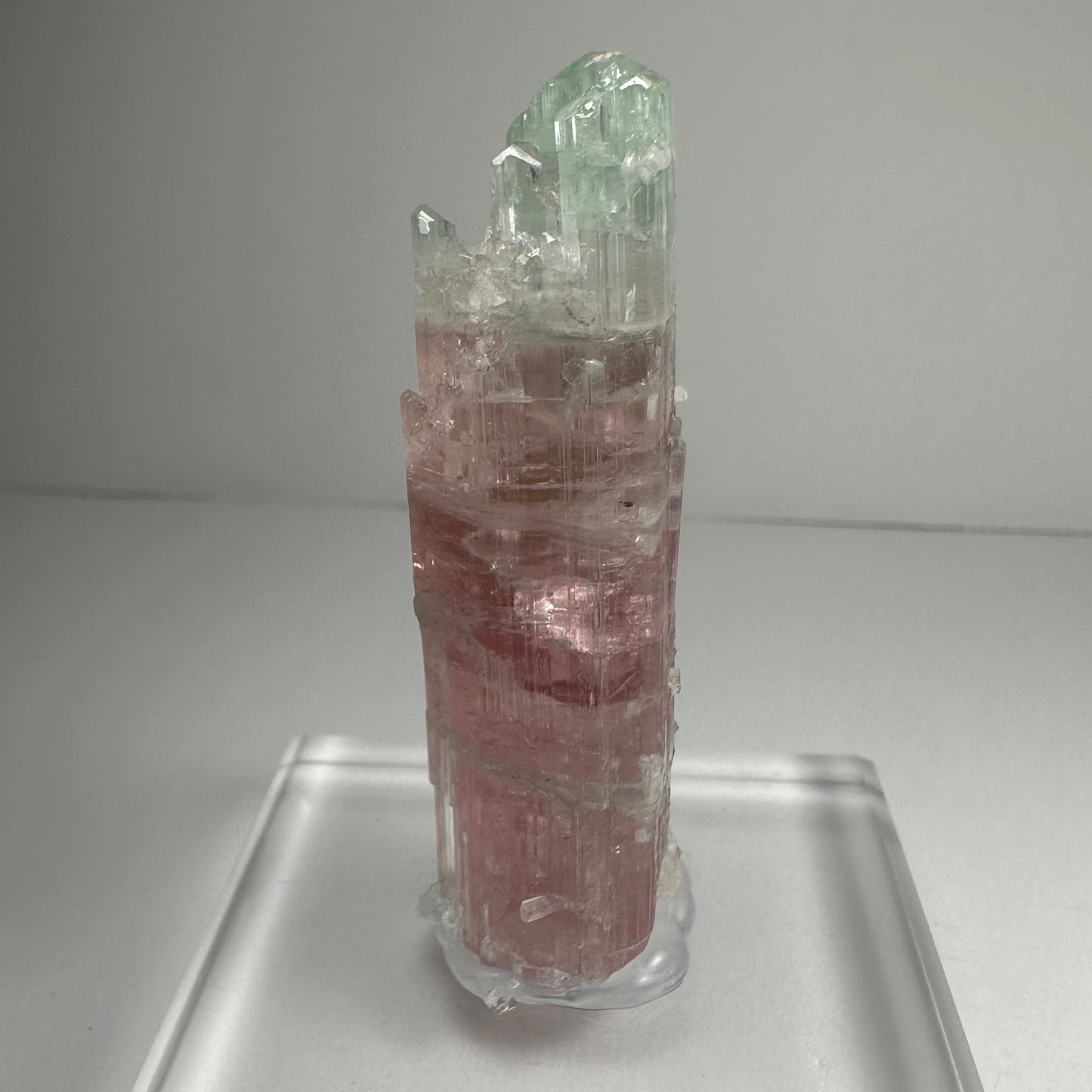 Watermelon tourmaline crystal shown for scale