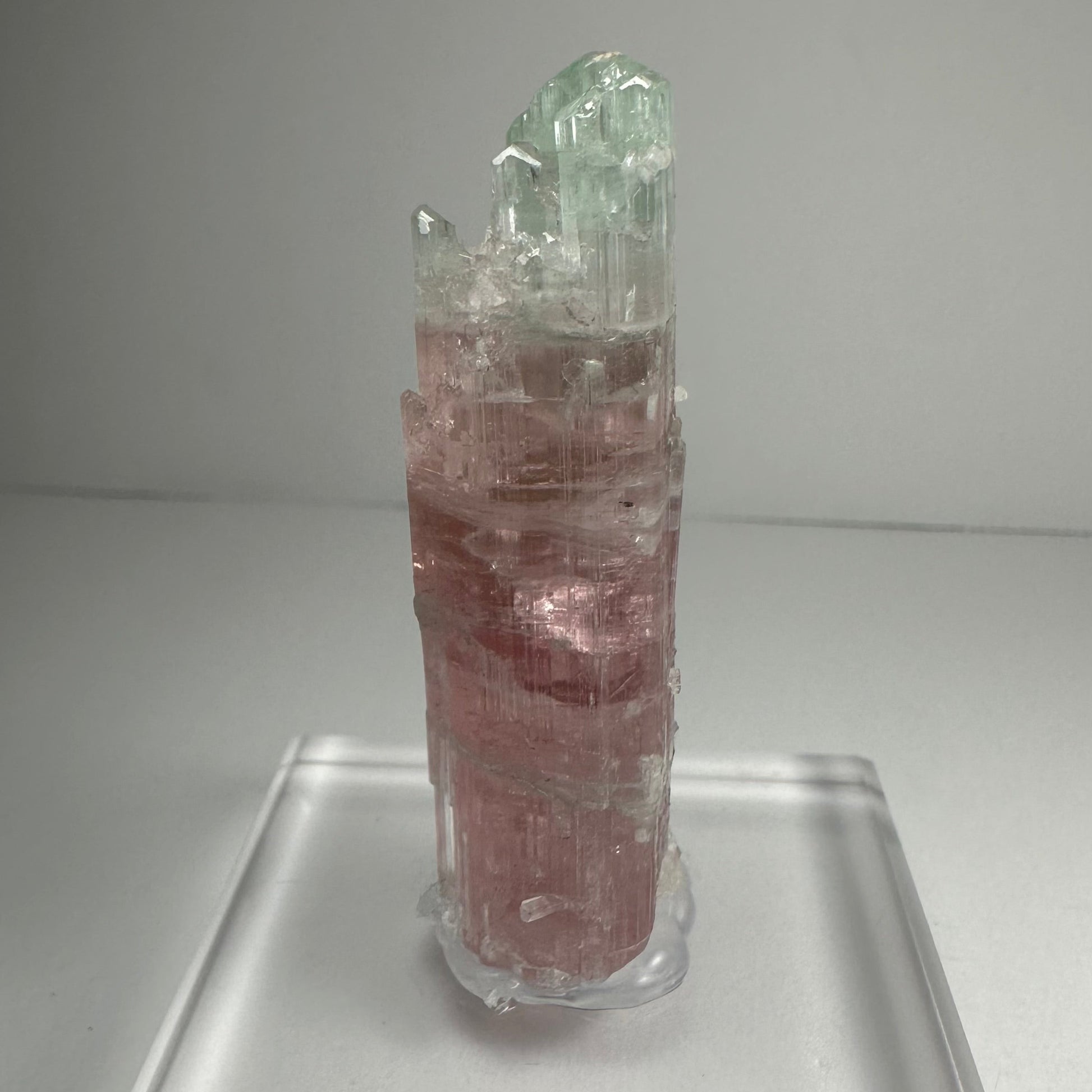 Watermelon tourmaline crystal shown for scale