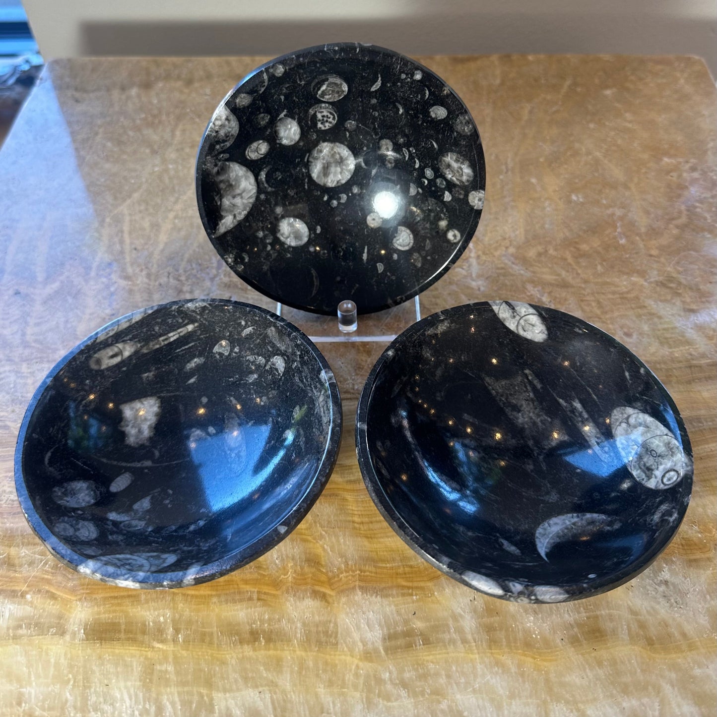 Polished black limestone bowl with white orthoceras fossils across its surface