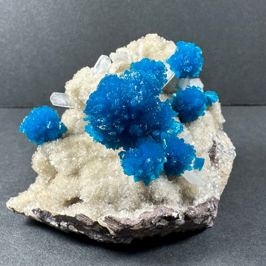 Vivid blue cavansite rosettes with cream stilbite on grey matrix, collector mineral specimen