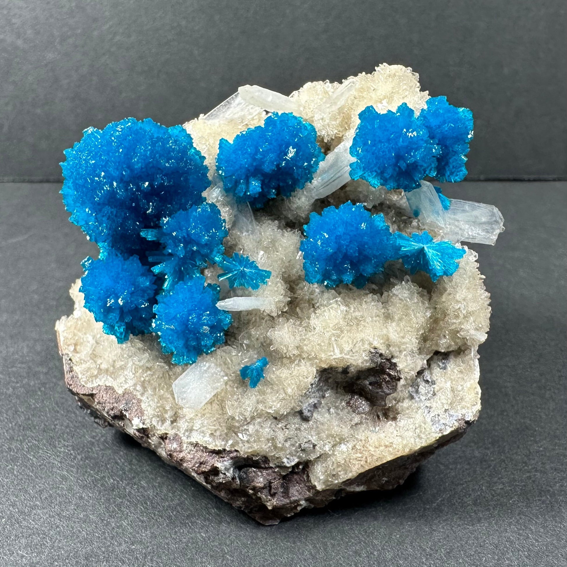 Vivid blue cavansite rosettes with cream stilbite on grey matrix, collector mineral specimen — view 2