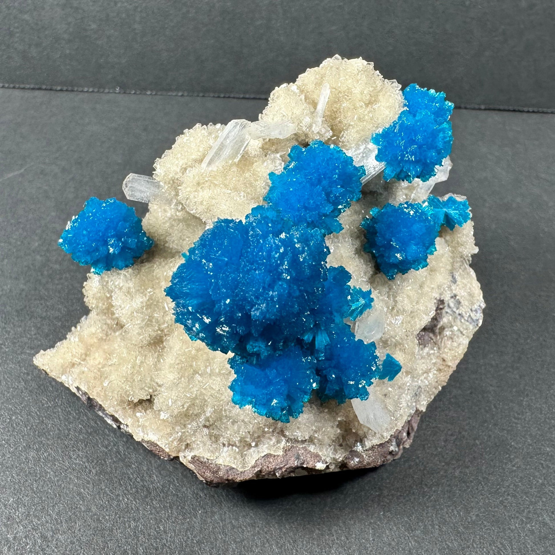 Vivid blue cavansite rosettes with cream stilbite on grey matrix, collector mineral specimen — view 4