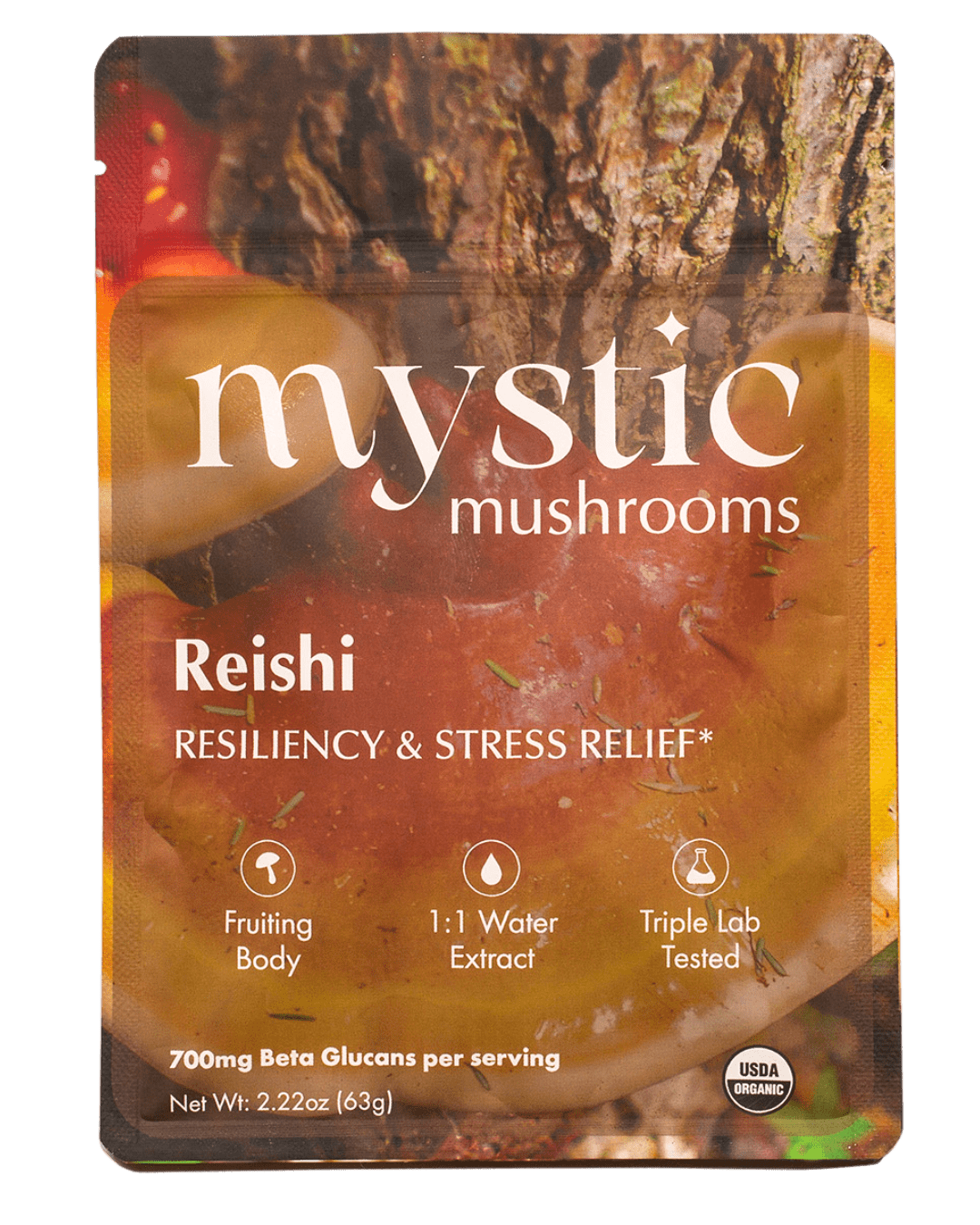 Ora Cacao Reishi mushroom extract pouch shown on a plain neutral background.