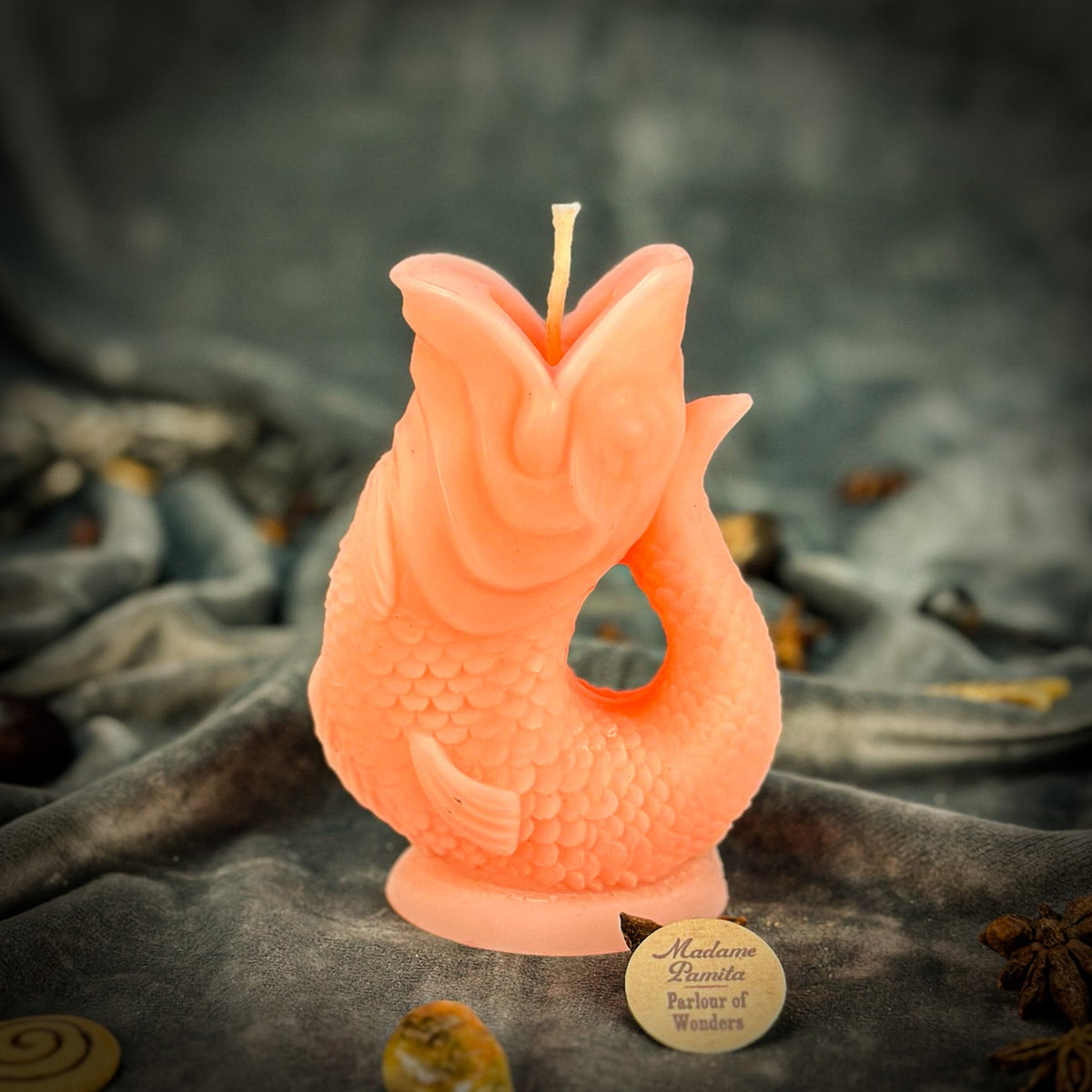 Coral fish-shaped candle standing on gray velvet, the wick rising from between its open lips