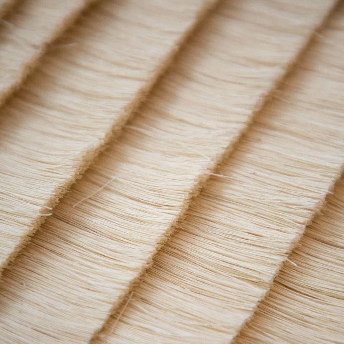 Macro detail of the recovered cotton thread and its rice-field banding