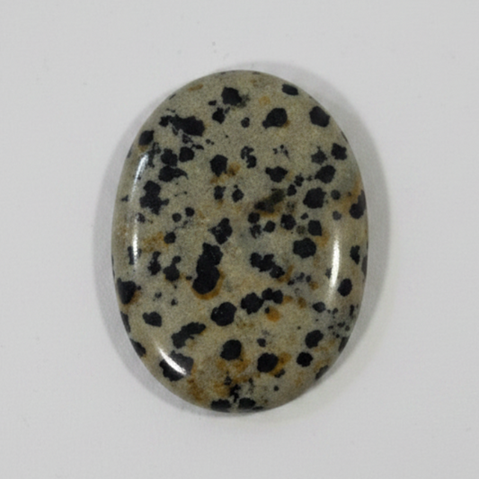 A polished oval dalmatian jasper comfort stone, cream colored with black spots