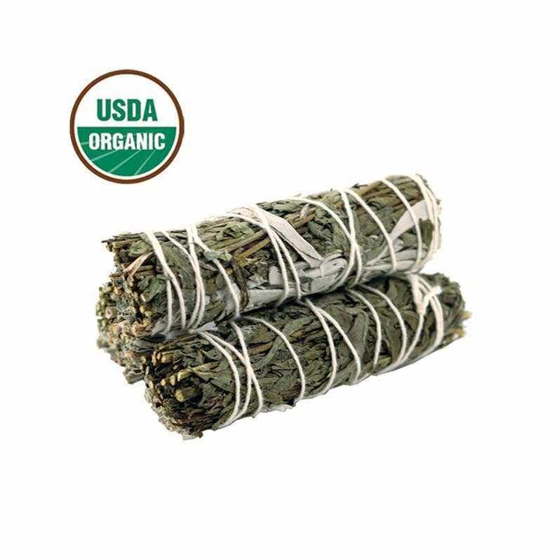 Four-inch organic white sage and mugwort smudge stick tied with natural cotton string