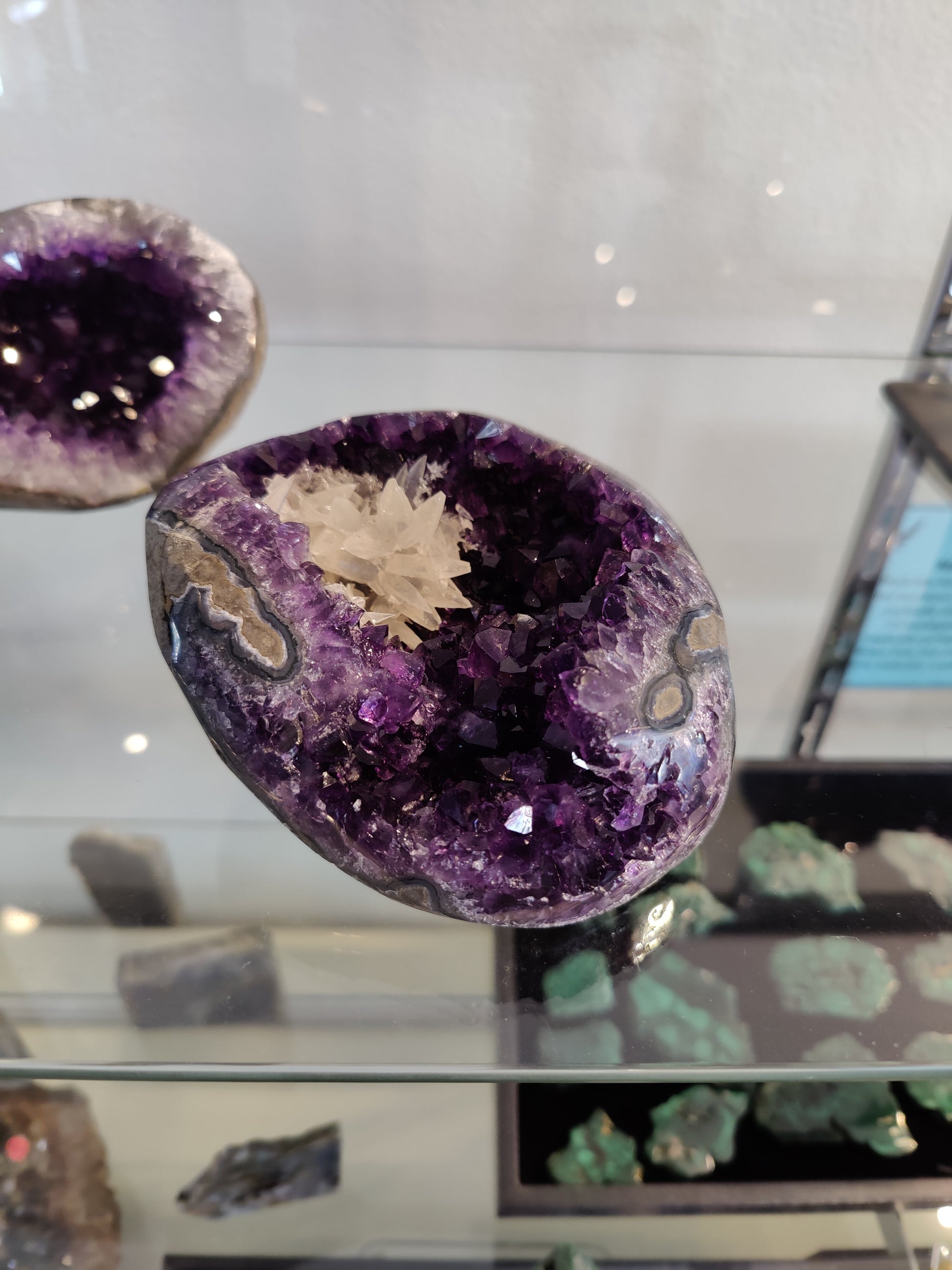 Polished-edge amethyst geode from Brazil with a white scalenohedral dogtooth calcite cluster growing inside the purple crystal bed