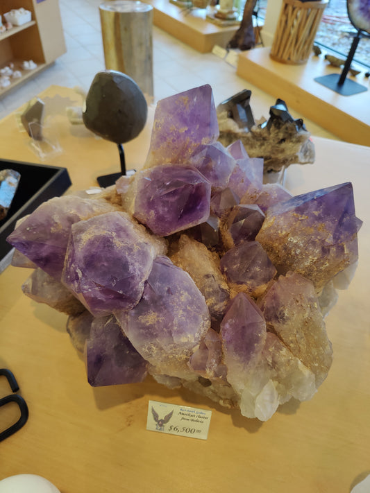 Large Bolivian amethyst cluster with deep violet crystal points across a wide matrix