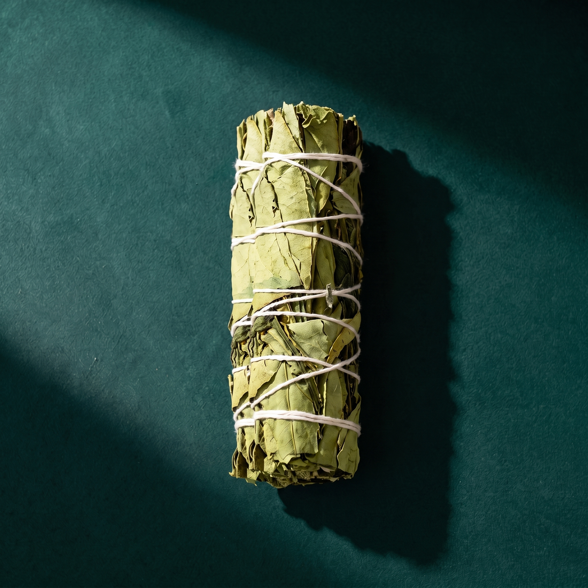 Lemon Balm & Peppermint Smudge Stick — Bright Herbal Smoke (4 in.) – botanical detail